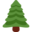 evergreen tree